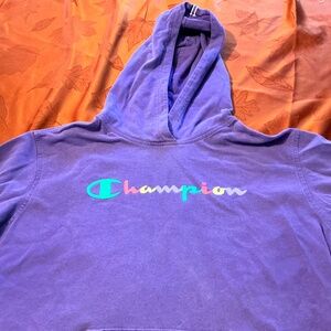 Champion lightweight hooded sweatshirt size lg.